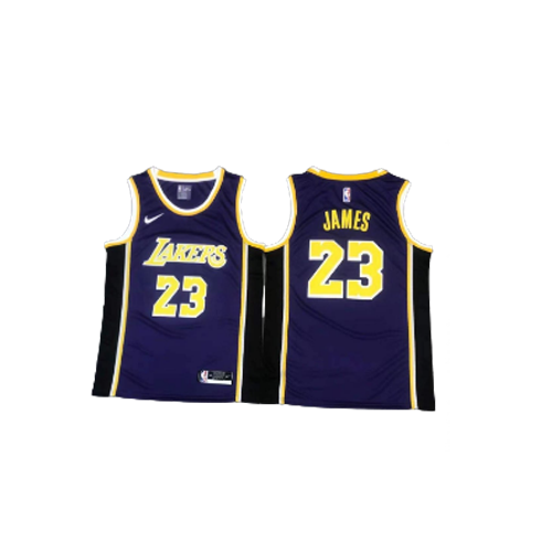 LA Lakers Purple Lebron Jersey