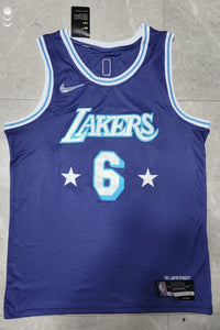 NBA LA Lakers LeBron James Jersey purple & blue
